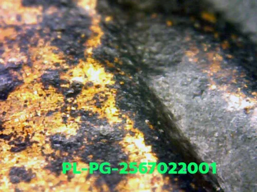 1000× magnification — Luang Phor Ngern statuette, Phim Niyom 4-Chai hand under