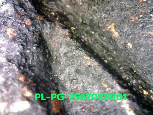 1000× magnification — Luang Phor Ngern statuette, Phim Niyom 4-Chai hand under