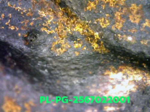 1000× magnification — Luang Phor Ngern statuette, Phim Niyom 4-Chai hand under
