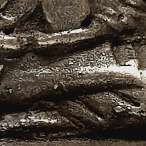 100× magnification — Luang Phor Ngern statuette, Niyom 4-Chai, Indra-eye
