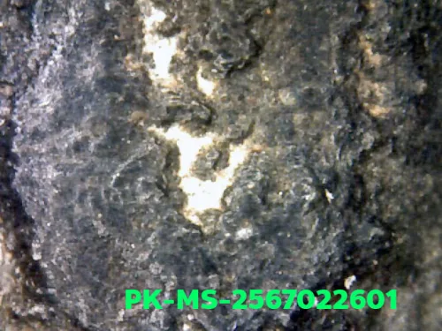 1000 倍放大 — 魯士 Phim Phila Lai佛牌 雙面 錫鉛合金（Chin） 帕西拉達那瑪哈泰寺 素攀府 佛曆 2300