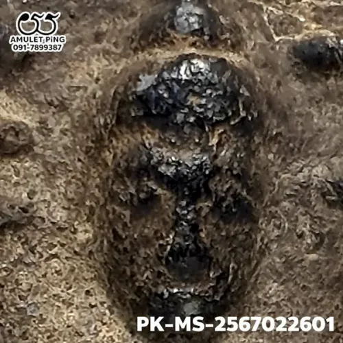 100 倍放大 — 魯士 Phim Phila Lai佛牌 雙面 錫鉛合金（Chin） 帕西拉達那瑪哈泰寺 素攀府 佛曆 2300