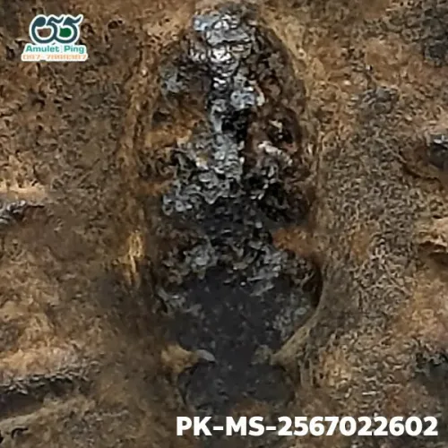 100 倍放大 — 鲁士 Phim Phila Lai佛牌 双面 锡铅合金（Chin） 帕西拉达那玛哈泰寺 素攀府 佛历 2300