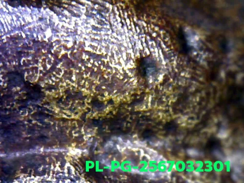 1000× magnification — Luang Phor Ngern statuette, Phim Niyom 4-Chai, Mixed alloy