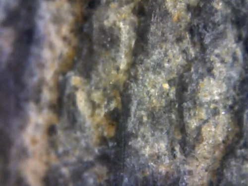 1000× magnification — Phra Mahathera Piyathassi amulet, young face, Clay, Wat