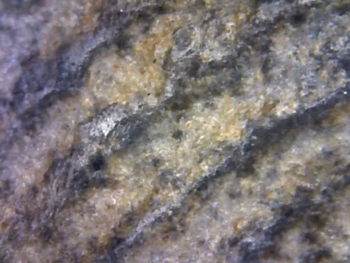 1000× magnification — Phra Mahathera Piyathassi amulet, young face, Clay, Wat