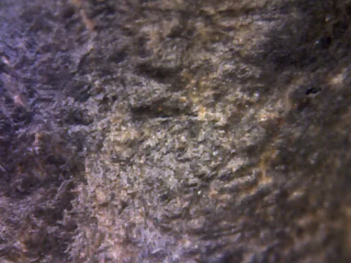 1000× magnification — Phra Mahathera Piyathassi amulet, young face, Clay, Wat