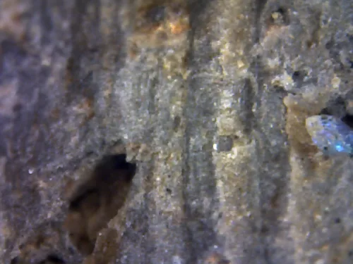 1000× magnification — Phra Mahathera Piyathassi amulet, young face, Clay, Wat