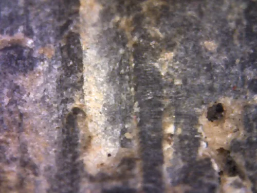 1000× magnification — Phra Mahathera Piyathassi amulet, young face, Clay, Wat