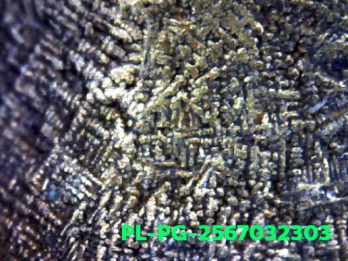 1000 倍放大 — 龙婆银佛牌 模 Niyom 四衣摆 因陀罗眼 银质 瓦邦干寺 披集府 佛历 2462