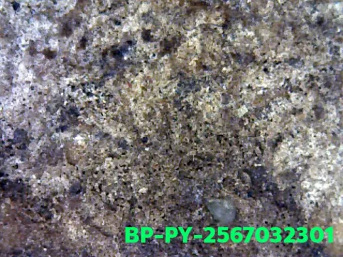 100 倍放大 — 崇迪阿贊多佛牌 大模 聖粉 瓦邦坤蓬寺 曼谷 佛曆 2414