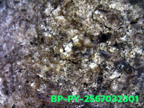 100 倍放大 — 崇迪阿贊多佛牌 大模 聖粉 瓦邦坤蓬寺 曼谷 佛曆 2414