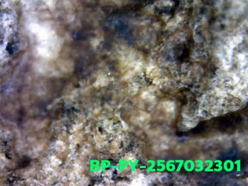 1000 倍放大 — 崇迪阿贊多佛牌 大模 聖粉 瓦邦坤蓬寺 曼谷 佛曆 2414