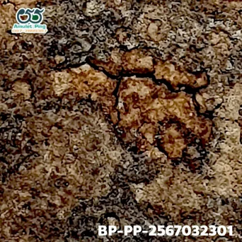 100× magnification — Somdej Toh amulet, Prok Pho (bodhi canopy), Sacred powder