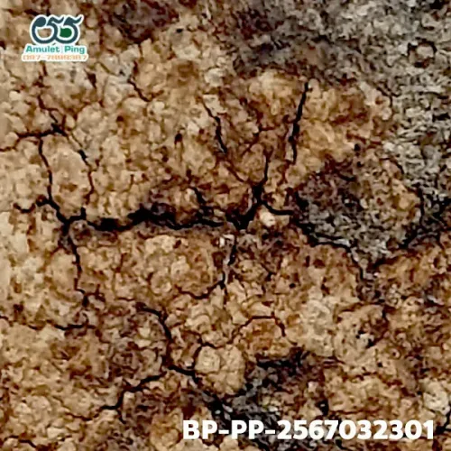 100× magnification — Somdej Toh amulet, Prok Pho (bodhi canopy), Sacred powder