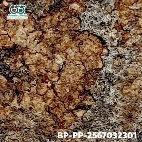 100× magnification — Somdej Toh amulet, Prok Pho (bodhi canopy), Sacred powder