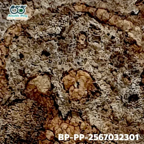 100× magnification — Somdej Toh amulet, Prok Pho (bodhi canopy), Sacred powder