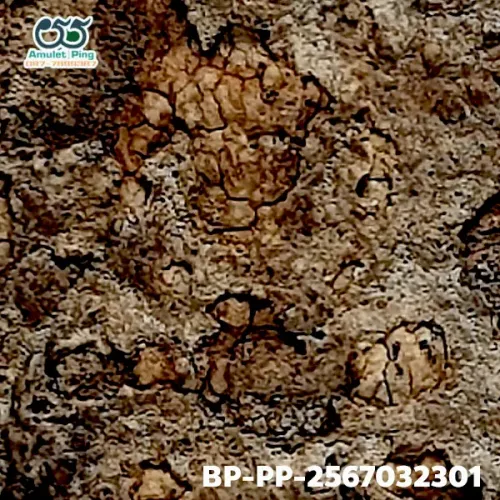 100× magnification — Somdej Toh amulet, Prok Pho (bodhi canopy), Sacred powder