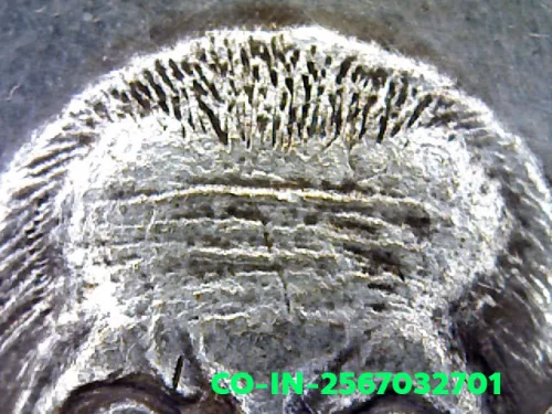 100× magnification — Luang Phor Jad coin, batch 2, Silver, Wat Bang Krabao
