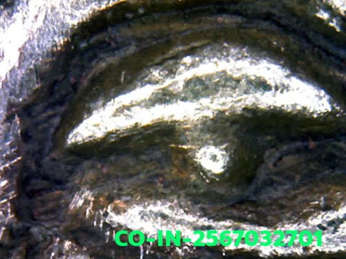 1000× magnification — Luang Phor Jad coin, batch 2, Silver, Wat Bang Krabao