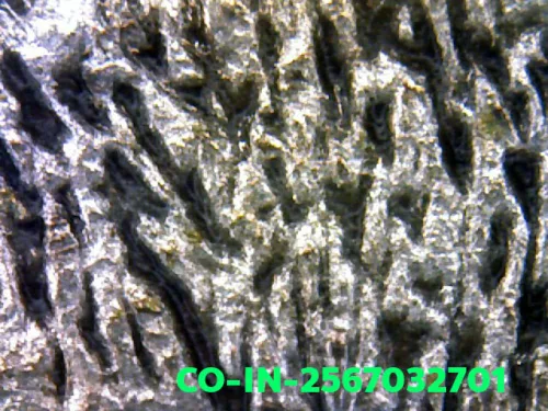 1000× magnification — Luang Phor Jad coin, batch 2, Silver, Wat Bang Krabao