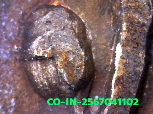 1000× magnification — Luang Pu Waen coin, Chana Suek (victory), Copper, Wat Doi