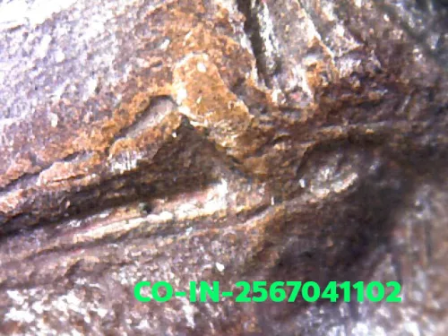 1000× magnification — Luang Pu Waen coin, Chana Suek (victory), Copper, Wat Doi