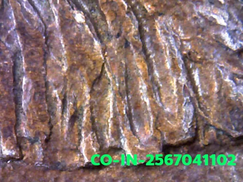1000× magnification — Luang Pu Waen coin, Chana Suek (victory), Copper, Wat Doi
