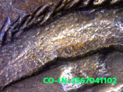 1000× magnification — Luang Pu Waen coin, Chana Suek (victory), Copper, Wat Doi