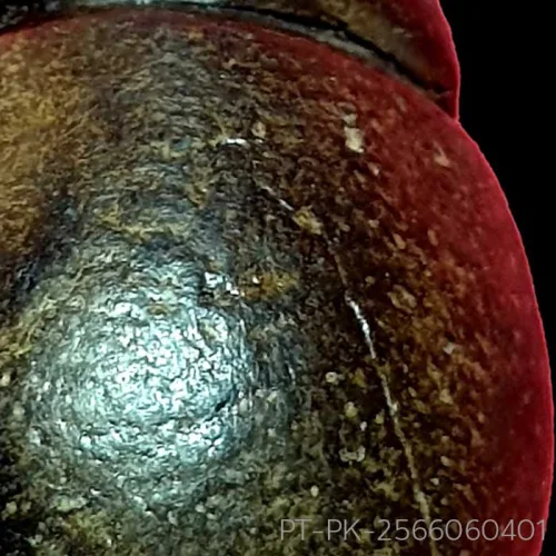 100× magnification — Phra Pidta by Luang Phor Kaew, freestanding statuette