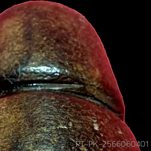 100× magnification — Phra Pidta by Luang Phor Kaew, freestanding statuette