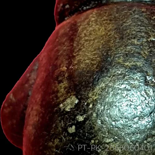 100× magnification — Phra Pidta by Luang Phor Kaew, freestanding statuette