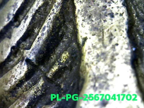 100× magnification — Luang Phor Ngern statuette, Khi Ta 4-Chai, Mixed alloy, Wat