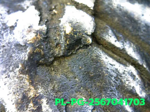 100 倍放大 — 龙婆银佛牌 基打 四衣摆 合金 瓦邦干寺 披集府 佛历 2462