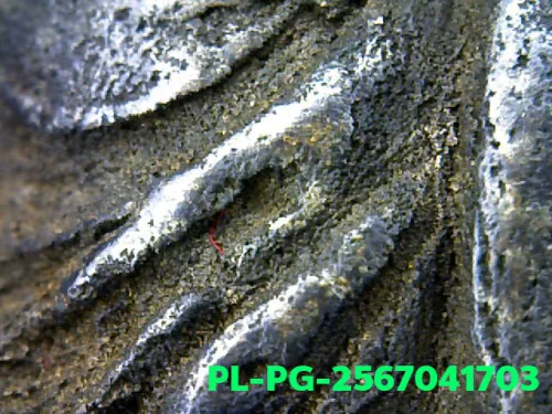 100 倍放大 — 龙婆银佛牌 基打 四衣摆 合金 瓦邦干寺 披集府 佛历 2462