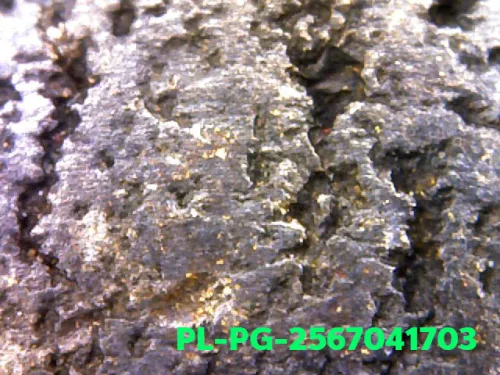 1000 倍放大 — 龙婆银佛牌 基打 四衣摆 合金 瓦邦干寺 披集府 佛历 2462