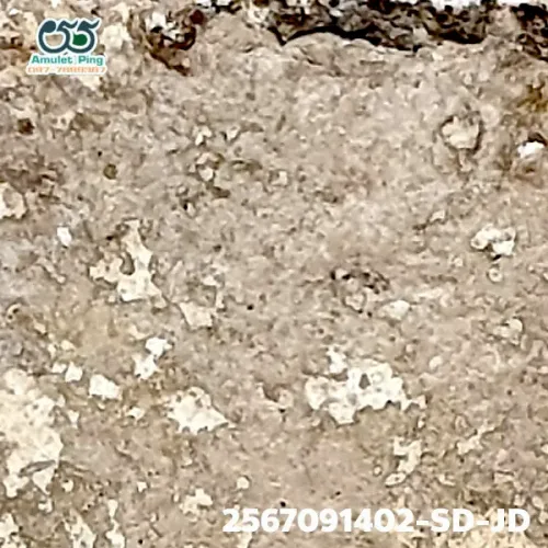 100 倍放大 — 崇迪阿赞多佛牌 大模 甩髻 圣粉 瓦拉康寺 曼谷 佛历 2462