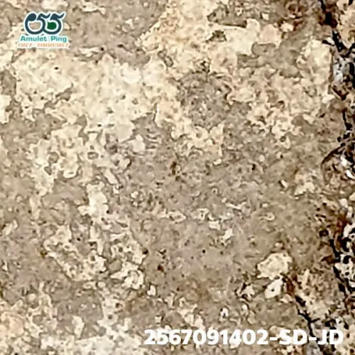 100 倍放大 — 崇迪阿赞多佛牌 大模 甩髻 圣粉 瓦拉康寺 曼谷 佛历 2462