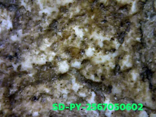 100 倍放大 — 崇迪阿贊多佛牌 大模 頂髻穿拱 聖粉 瓦拉康寺 曼谷 佛曆 2462