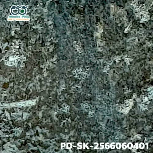 100 倍放大 — 素可泰立泰王佛牌 大模 烧制泥料 甘烹碧出土 甘烹碧府 佛历 1900
