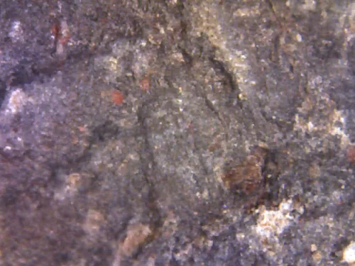 1000 倍放大 — 素可泰立泰王佛牌 大模 烧制泥料 甘烹碧出土 甘烹碧府 佛历 1900