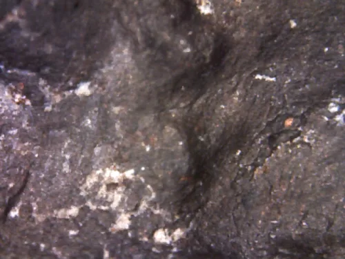 1000 倍放大 — 素可泰立泰王佛牌 大模 烧制泥料 甘烹碧出土 甘烹碧府 佛历 1900