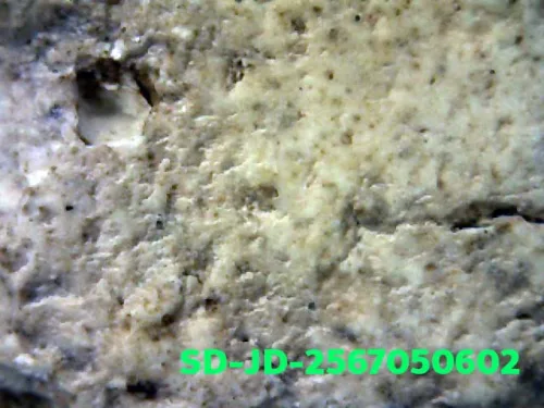 100× magnification — Somdej Toh amulet, chedi shape, Sacred powder (Phong), Wat