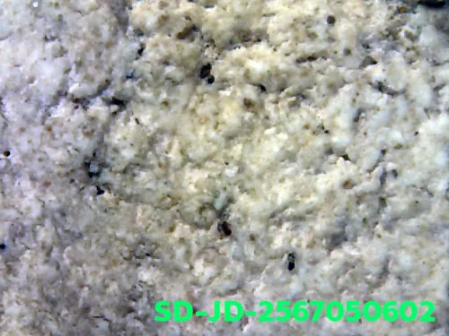 100× magnification — Somdej Toh amulet, chedi shape, Sacred powder (Phong), Wat