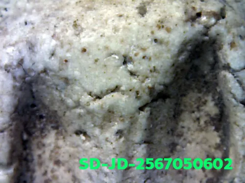 100× magnification — Somdej Toh amulet, chedi shape, Sacred powder (Phong), Wat