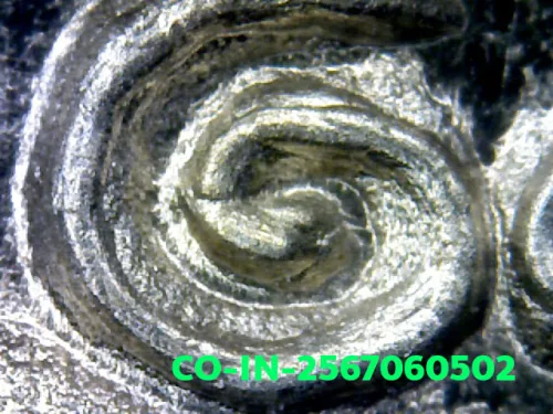1000× magnification — Jatukam Ramathep coin, first batch (Run Raek), Silver, City