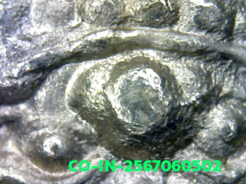 1000× magnification — Jatukam Ramathep coin, first batch (Run Raek), Silver, City