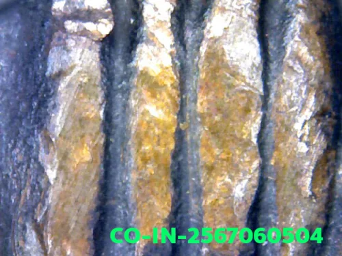 1000× magnification — Jatukam Ramathep coin, first batch (Run Raek), Copper, City