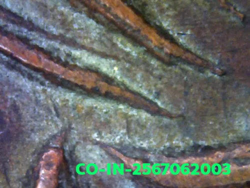 1000× magnification — Luang Phor Wat Ban Laem coin, first batch (Run Raek)