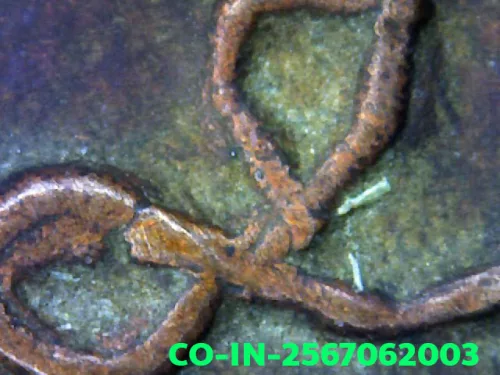 1000× magnification — Luang Phor Wat Ban Laem coin, first batch (Run Raek)